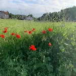 Tiny House Im Grünen *