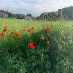 Tiny House Im Grünen Jesberg